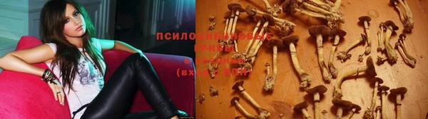 не бодяженный Аркадак