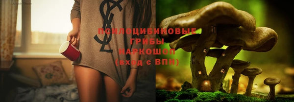 a pvp Арсеньев